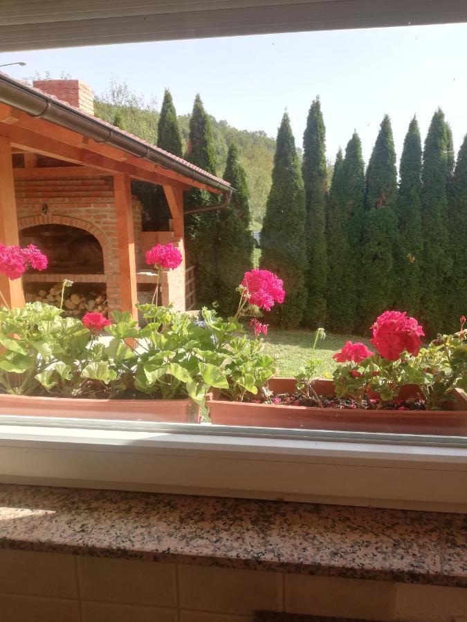 Holiday Homer Kuca Na Obali Vrbasa Banja Luka Zewnętrze zdjęcie